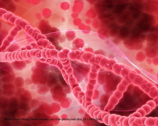 red-dna_1048-4745 red-dna_1048-4745