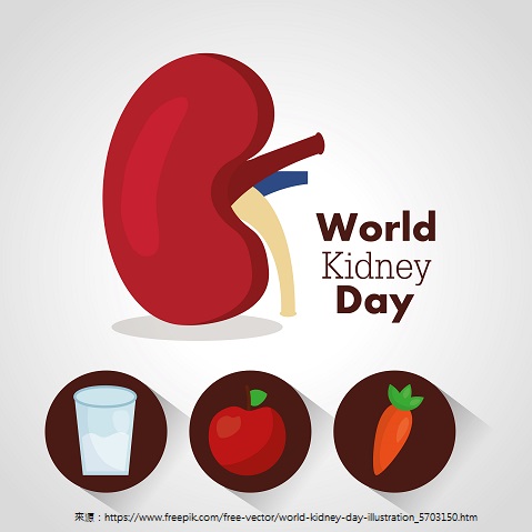 world kidney day card health food water care world kidney day card health food water care