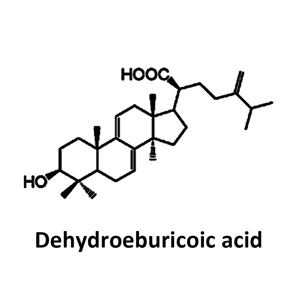 Dehydroeburicoic-acid