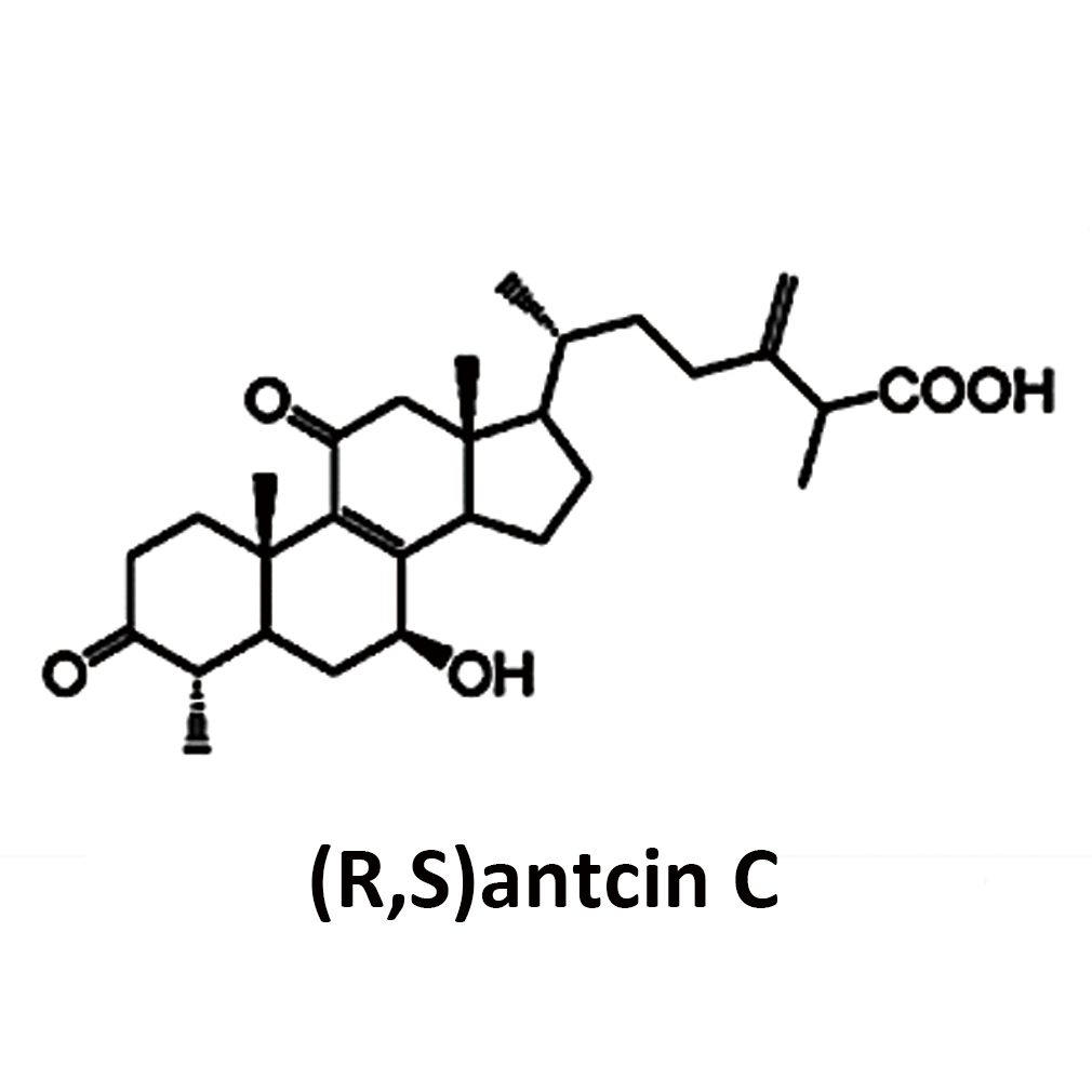 RSantcin-C