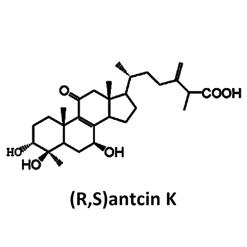RSantcin-K