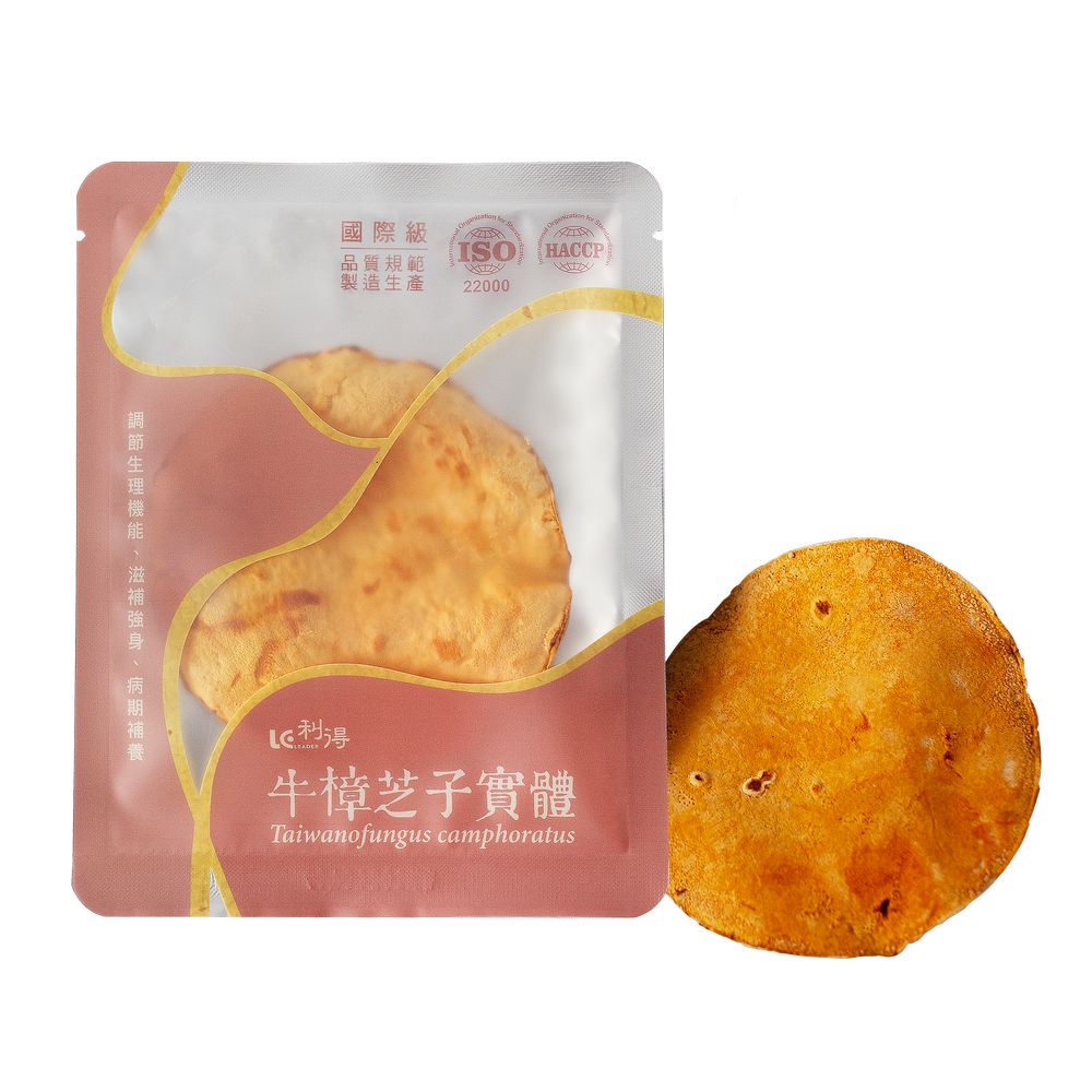 牛樟芝子實體原片_正+原片